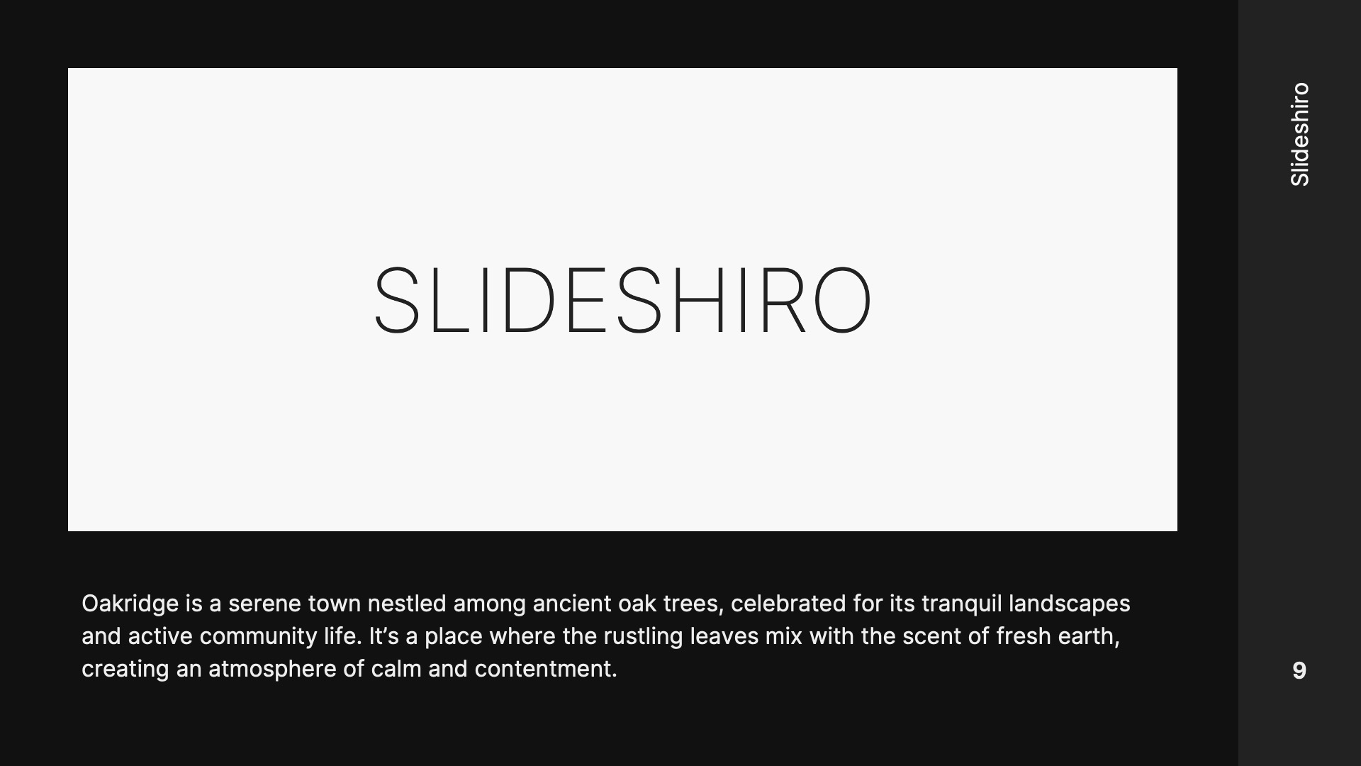 Simple Dark Slides by Slideshiro - Img 09