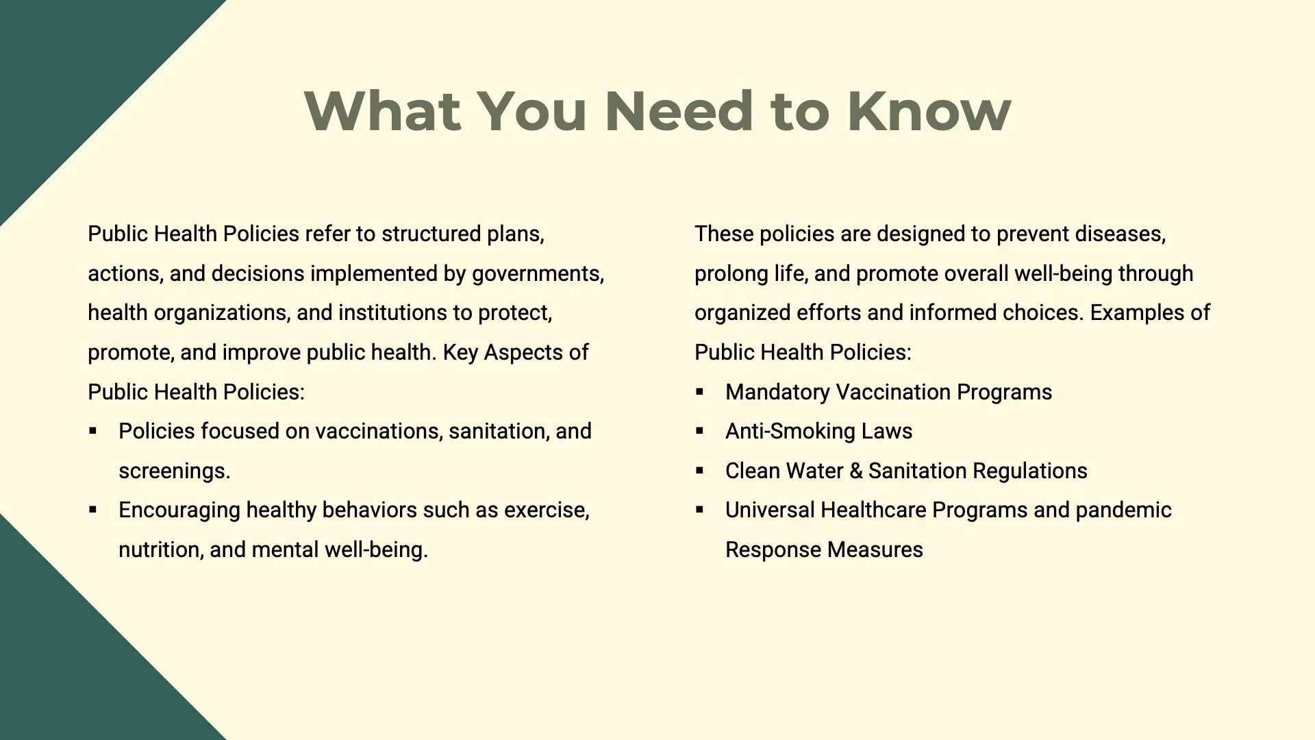 Public Health Policies - Slide 04