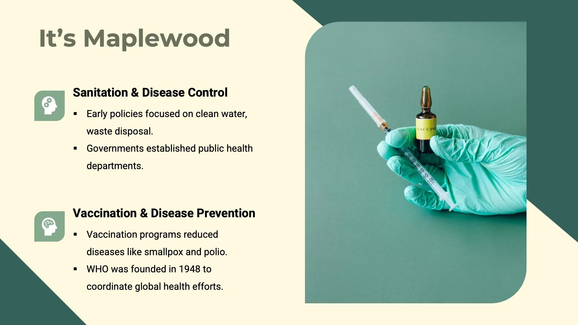 Public Health Policies - Slide 08