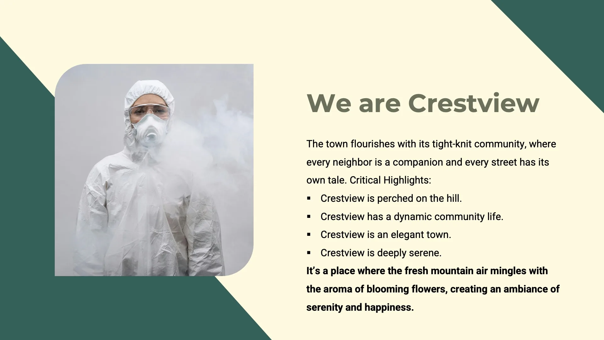 Public Health Policies - Slide 10